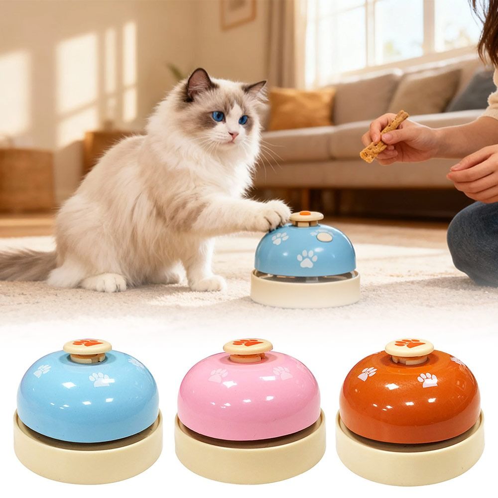 Food Storage For Restaurant - Yeni Masa Zili Çağrı Zili El